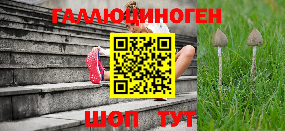 купить   Галлюциногенные грибы Psilocybe  Прокопьевск  Вход с VPN  Галлюциногенные грибы Cubensis 