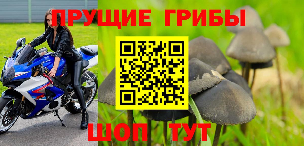 Псилоцибиновые грибы ЛСД Прокопьевск